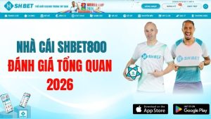 Nhà Cái SHBET800 – Đánh Giá Tổng Quan 2026