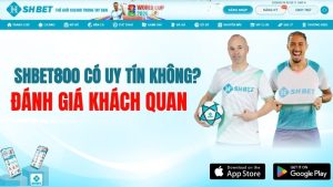 SHBET800 Có Uy Tín Không? Đánh Giá Khách Quan
