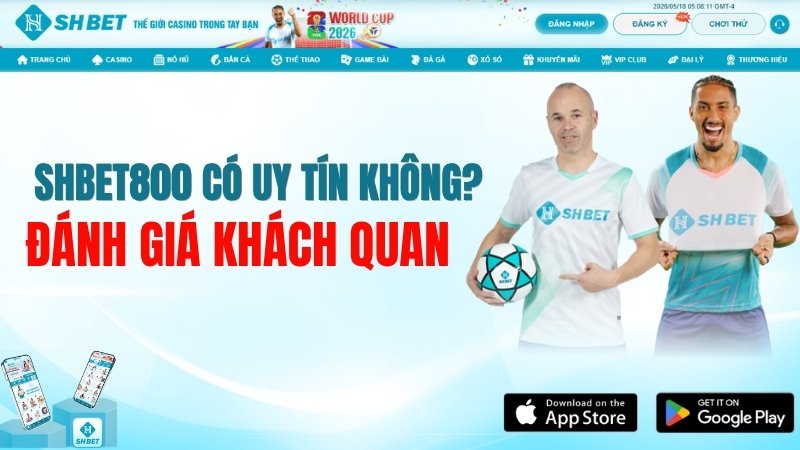 SHBET800 Có Uy Tín Không? Đánh Giá Khách Quan