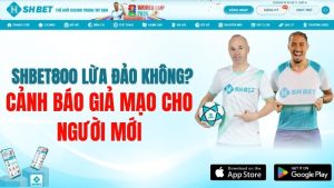 SHBET800 Lừa Đảo Không? Cảnh Báo Giả Mạo