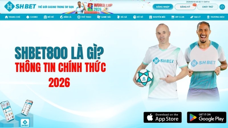 SHBET800 Là Gì? Thông Tin Chính Thức 2026